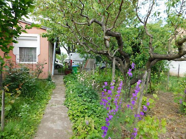 Mátyásdomb 2. képe