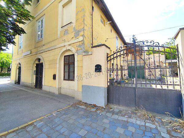 Dózsa György, Mohács képe