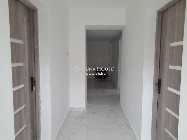 Széchenyi István, Szabadkígyós képe