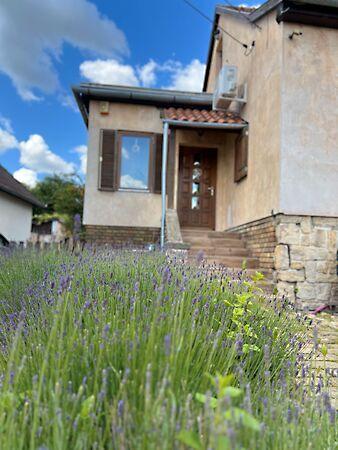 Szabadság, Mohács 2. képe