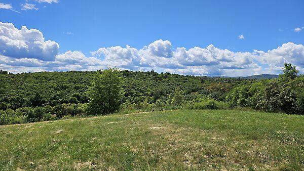 Középruzsin, Miskolc képe