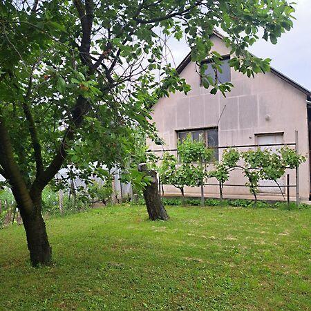 Bocskai, Pétfürdő 3. képe