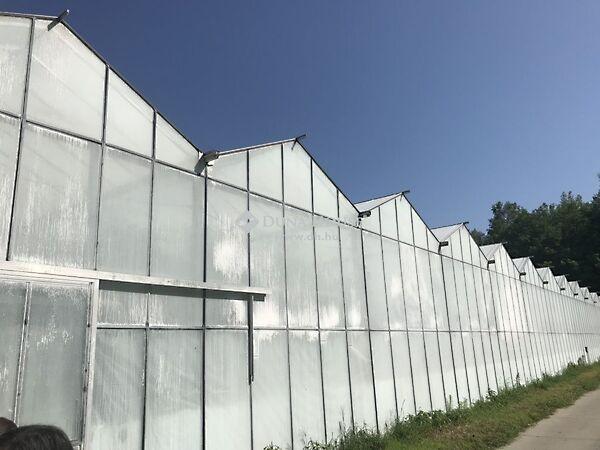 XII. körzet, Kiskunfélegyháza 3. képe