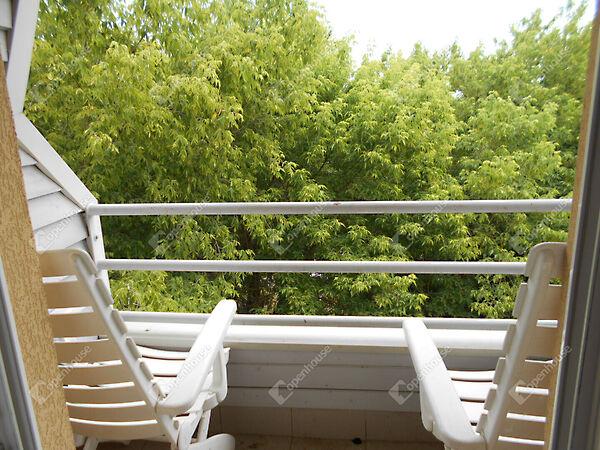 Martinovics, Hévíz képe