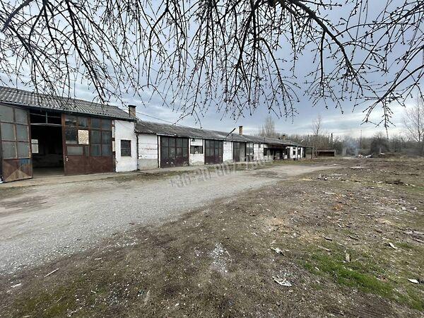 Petőfi Sándor, Bélapátfalva képe