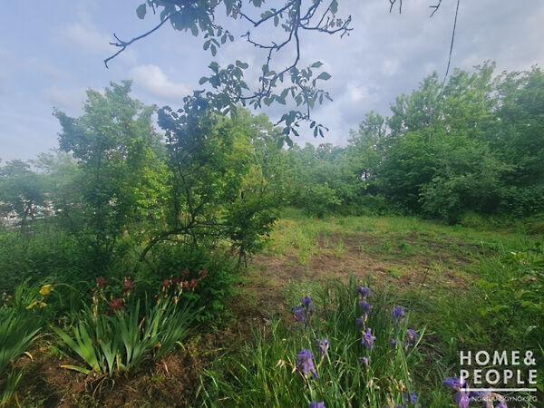 Hódmezővásárhely képe