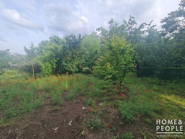 Hódmezővásárhely 2. képe