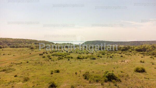 Veszprémi, Szentkirályszabadja képe