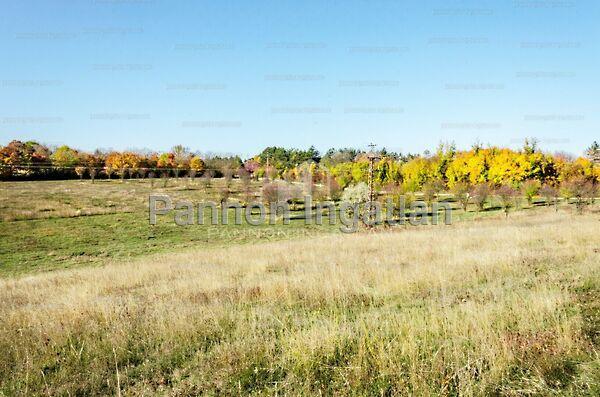 Veszprémi, Szentkirályszabadja 2. képe