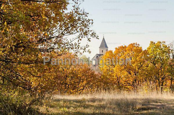 Veszprémi, Szentkirályszabadja 3. képe