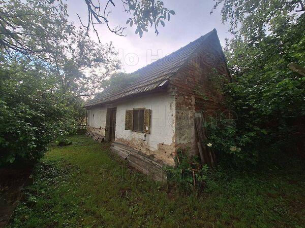 Mezőcsokonya 3. képe