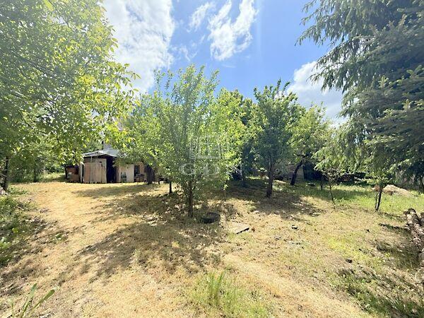 Sík területtel és kis fenyvessel rendelkező, Zalaegerszeg képe