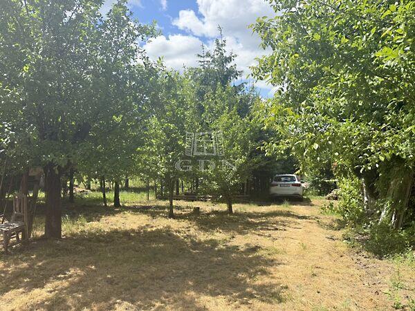 Sík területtel és kis fenyvessel rendelkező, Zalaegerszeg 2. képe