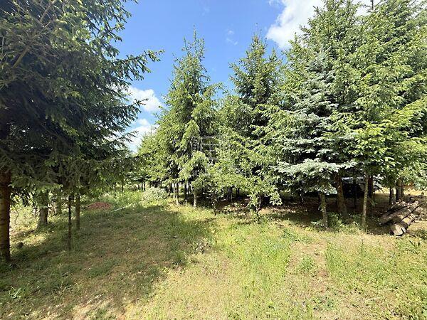 Sík területtel és kis fenyvessel rendelkező, Zalaegerszeg 3. képe