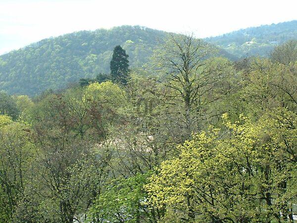 Budapest, II. kerület képe