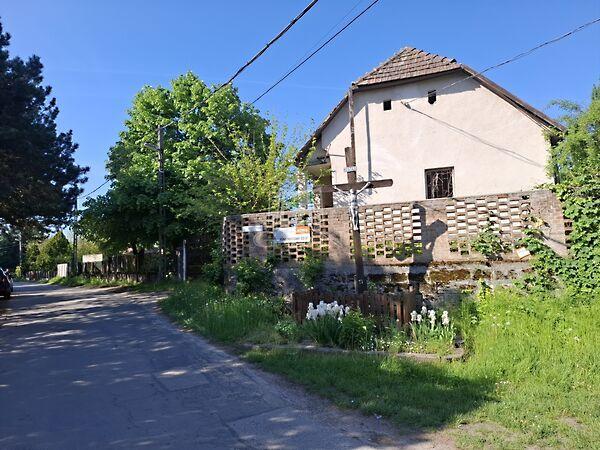 Nyár, Ráckeve 3. képe