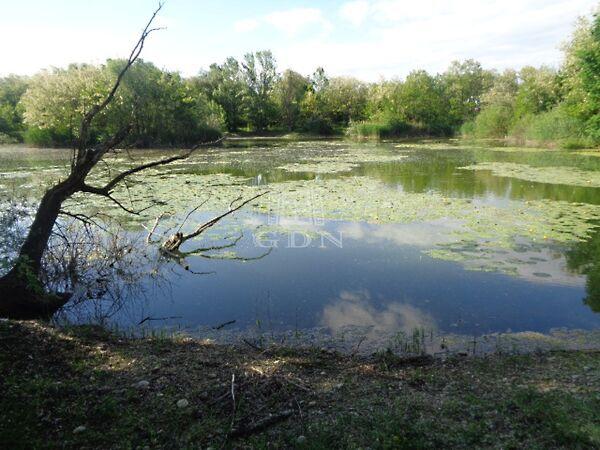 Festetics György, Püspökmolnári képe