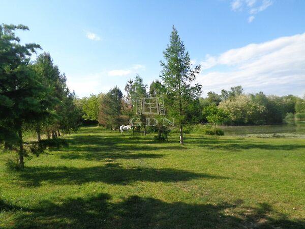 Festetics György, Püspökmolnári képe