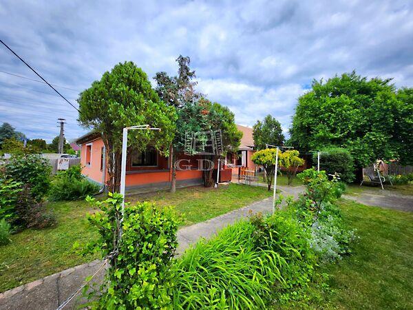 Dózsa György, Tiszaújváros képe