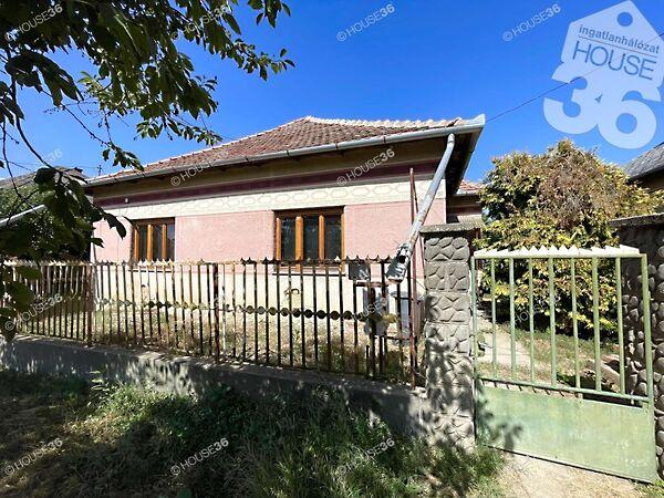 Akácfa, Tiszakürt képe