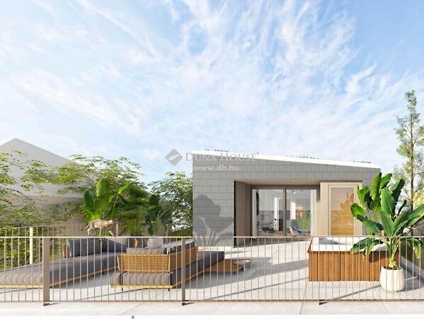 Surányi Miklós, Pécs 3. képe