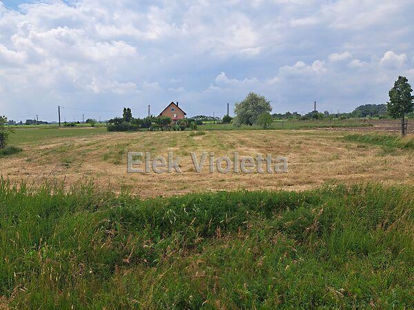 Nádirigó utca 8,, Szolnok képe