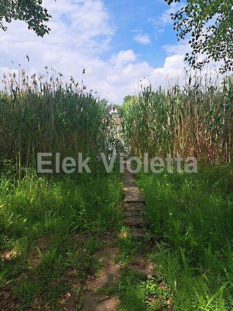 Nádirigó utca, Szolnok 3. képe