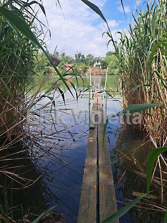 Nádirigó utca, Szolnok 2. képe