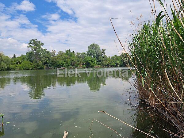 Nádirigó utca, Szolnok képe