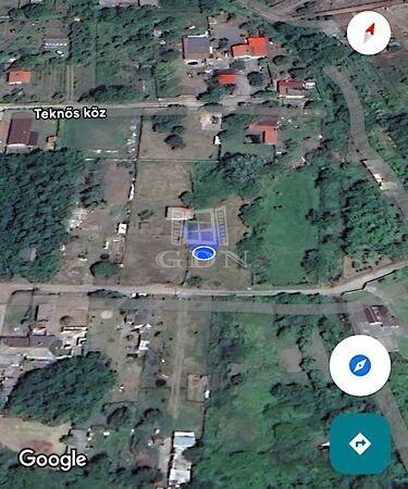 Teknős, Baja 2. képe