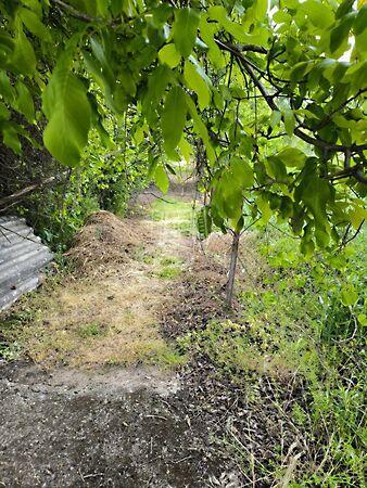 Vizes kertek, Dunakeszi 2. képe