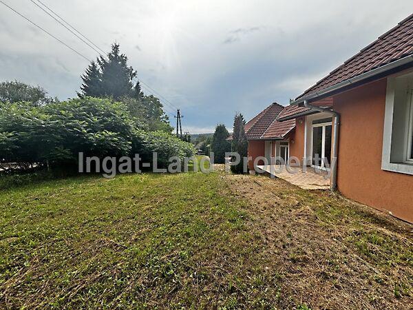 Kehidakustány képe