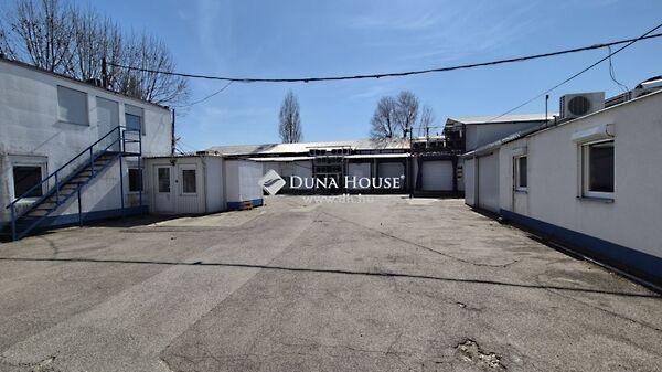 Szent László, Kecskemét képe