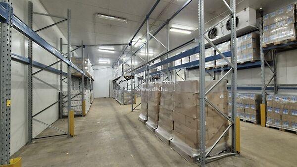 Szent László, Kecskemét 2. képe