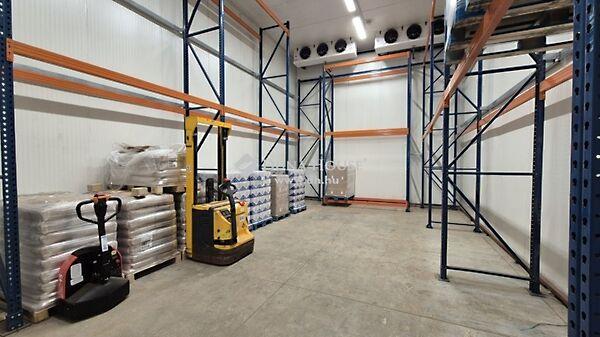 Szent László, Kecskemét 3. képe