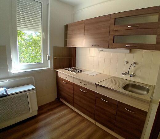 Platán, Zalaegerszeg 2. képe