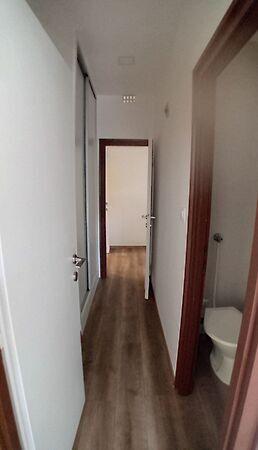 Platán, Zalaegerszeg 3. képe