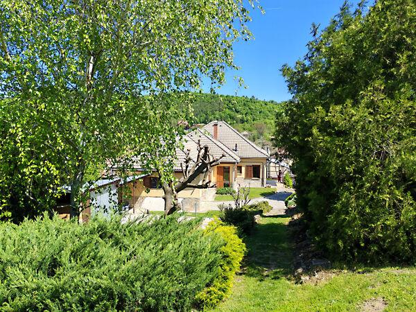 Csabdi, Csabdi képe