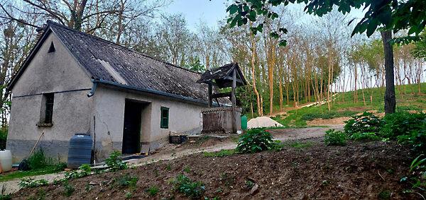 Lesenceistvánd képe