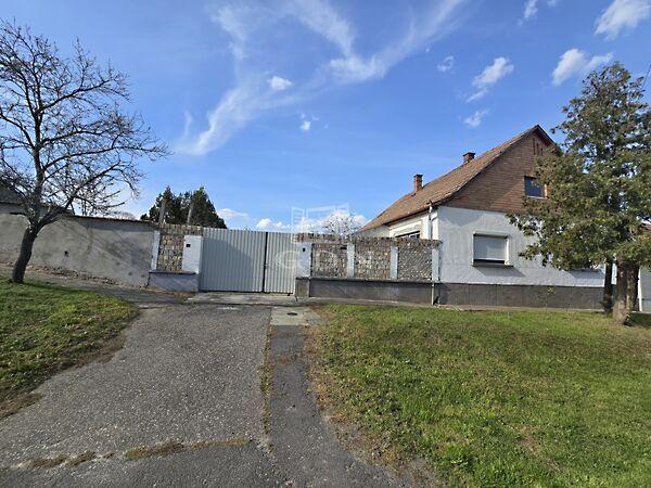 Narancsik Pál, Bácsalmás képe