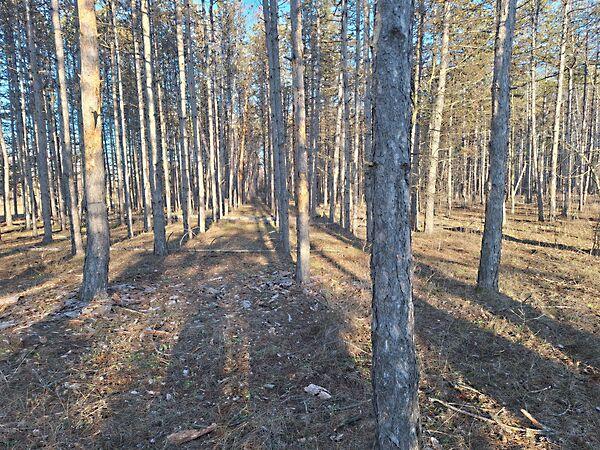 Pusztamérges 2. képe