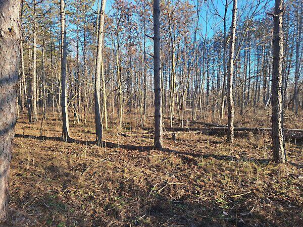 Pusztamérges 3. képe