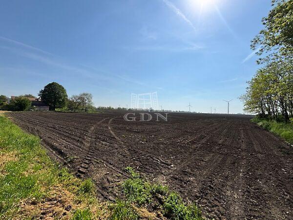 Dózsa György, Kisigmánd képe