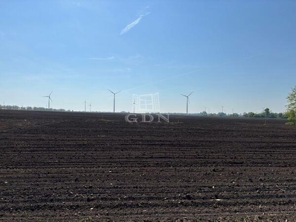 Dózsa Görgy, Kisigmánd képe