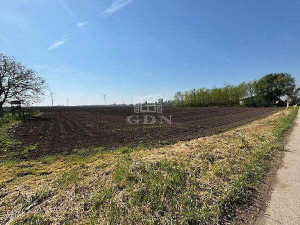 Dózsa Görgy, Kisigmánd képe