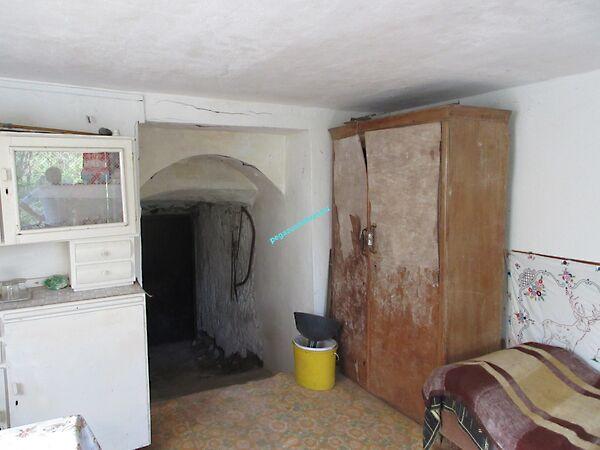 Szirmabesenyő 2. képe