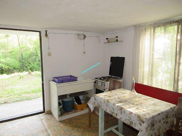 Szirmabesenyő 3. képe