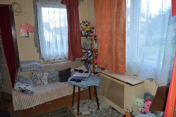 Pusztaszemes 2. képe