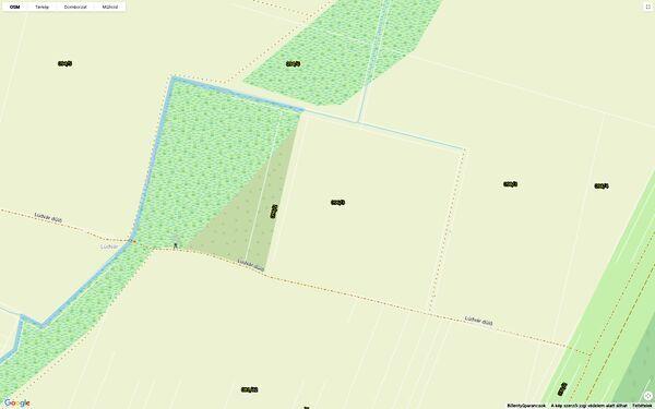 Tiszasziget 3. képe