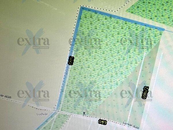 Tiszasziget 2. képe